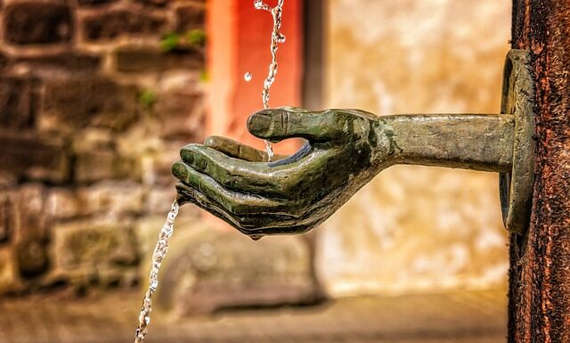 Jak czyścić szczotki?