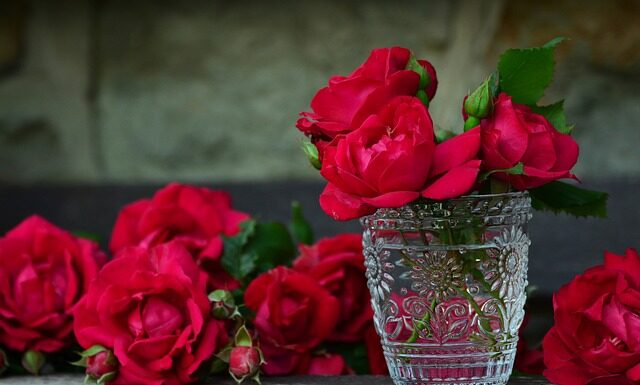 Co wlać do pojemnika na szczotki WC?