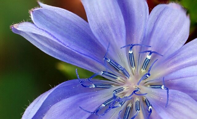 Czym są zamienniki perfum?