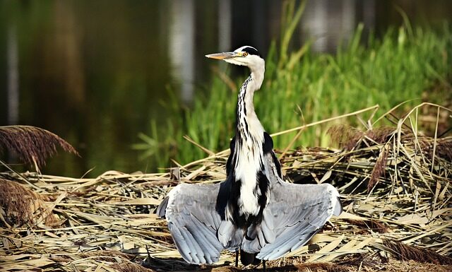 Jak suszyć w suszarce żeby ubrania się nie Kurczyły?