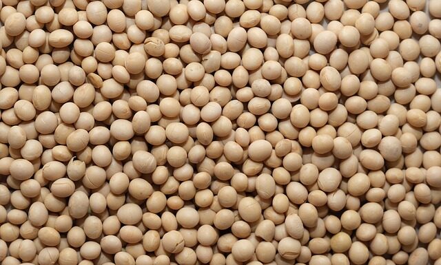 Dlaczego wosk sojowy a nie parafina?