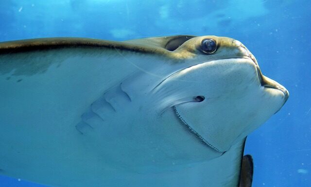 Co zrobić żeby ode mnie ładnie pachniało?